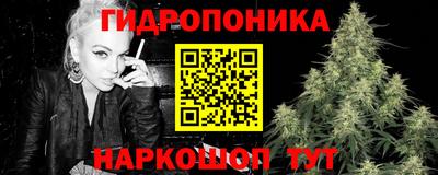 твердый Заводоуковск
