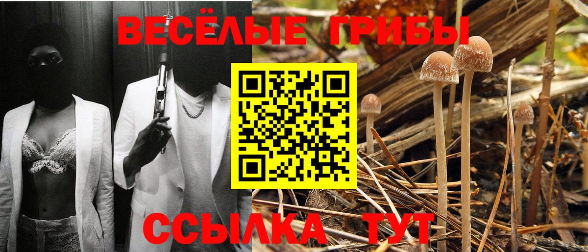 продажа наркотиков  Галлюциногенные грибы прущие грибы  Вход с VPN  Минусинск 