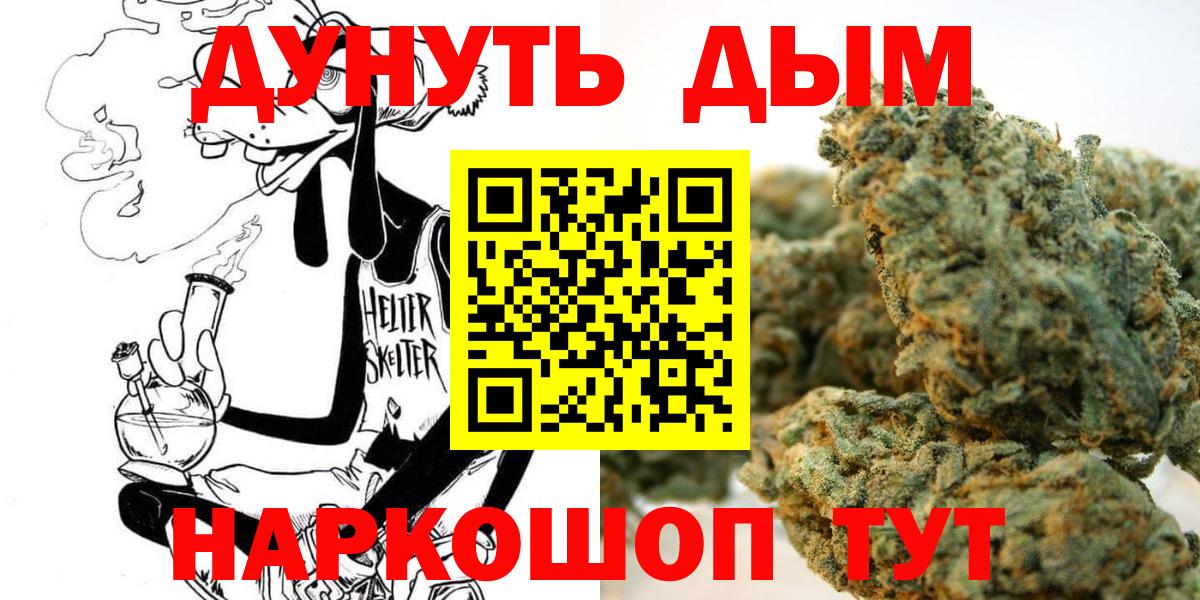 Канабис сатива Минусинск